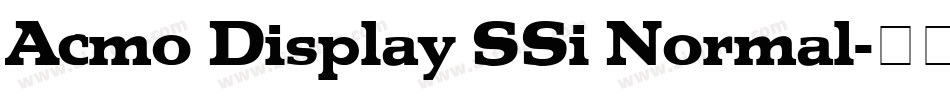 Acmo Display SSi Normal字体转换